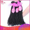 Picture of Queen Hair Products Brazilian Human Hair Kinky Curly Weaving Natural Color 1B Hair Bundles 100% Human Hair Weft Can be Dyed