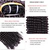 Picture of Queen Hair Extension 100% Human Hair Weave Bundles With Closure Indian 3 pcs Kinky Curly Bundles With Lace Closure